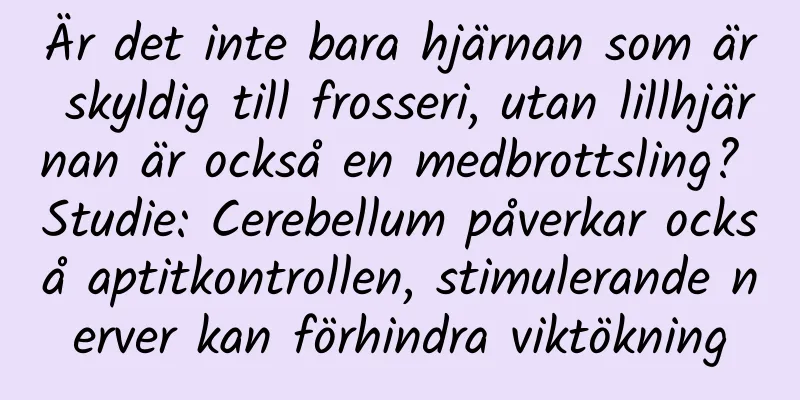 Är det inte bara hjärnan som är skyldig till frosseri, utan lillhjärnan är också en medbrottsling? Studie: Cerebellum påverkar också aptitkontrollen, stimulerande nerver kan förhindra viktökning