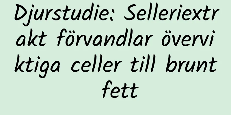Djurstudie: Selleriextrakt förvandlar överviktiga celler till brunt fett