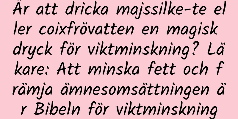 Är att dricka majssilke-te eller coixfrövatten en magisk dryck för viktminskning? Läkare: Att minska fett och främja ämnesomsättningen är Bibeln för viktminskning