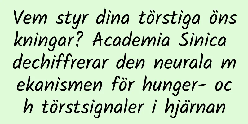 Vem styr dina törstiga önskningar? Academia Sinica dechiffrerar den neurala mekanismen för hunger- och törstsignaler i hjärnan