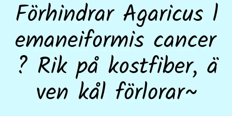 Förhindrar Agaricus lemaneiformis cancer? Rik på kostfiber, även kål förlorar~