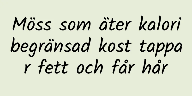 Möss som äter kaloribegränsad kost tappar fett och får hår