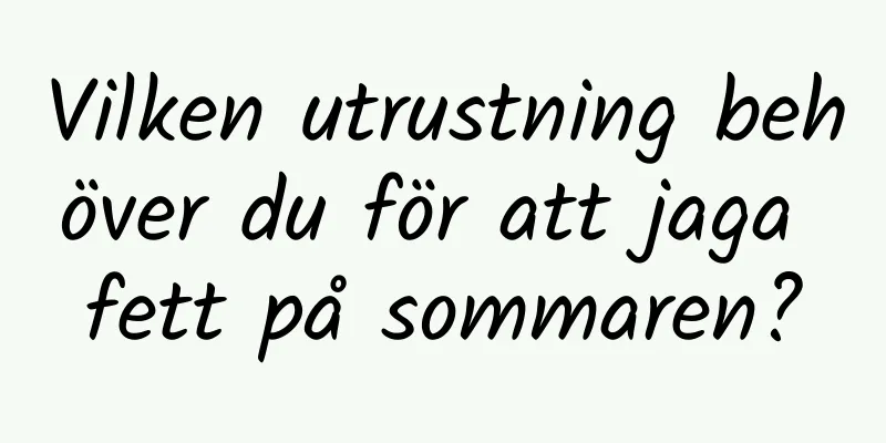 Vilken utrustning behöver du för att jaga fett på sommaren?