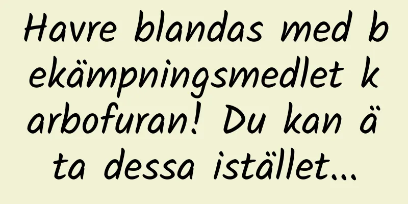Havre blandas med bekämpningsmedlet karbofuran! Du kan äta dessa istället...