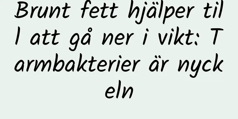 Brunt fett hjälper till att gå ner i vikt: Tarmbakterier är nyckeln