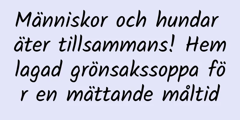 Människor och hundar äter tillsammans! Hemlagad grönsakssoppa för en mättande måltid