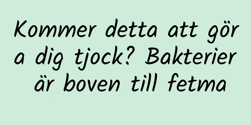 Kommer detta att göra dig tjock? Bakterier är boven till fetma