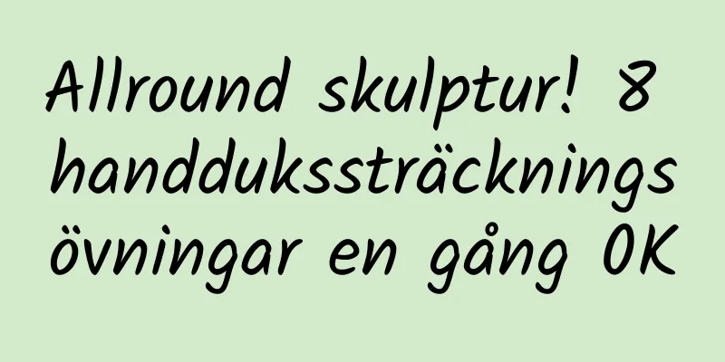 Allround skulptur! 8 handdukssträckningsövningar en gång 0K