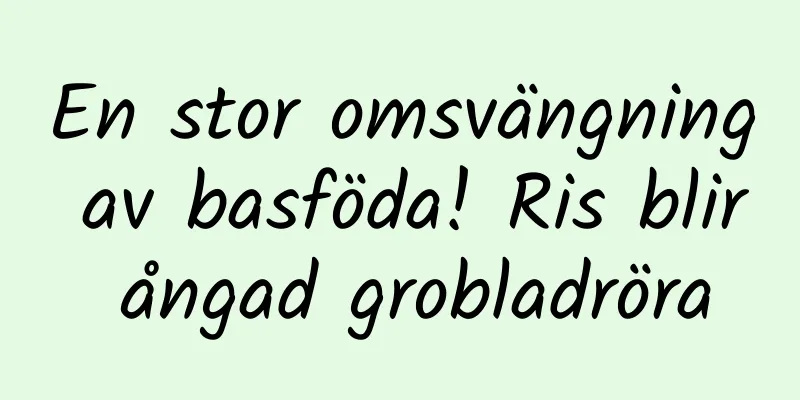 En stor omsvängning av basföda! Ris blir ångad grobladröra