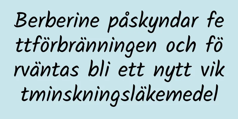 Berberine påskyndar fettförbränningen och förväntas bli ett nytt viktminskningsläkemedel