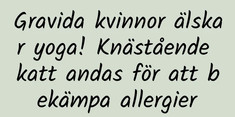 Gravida kvinnor älskar yoga! Knästående katt andas för att bekämpa allergier