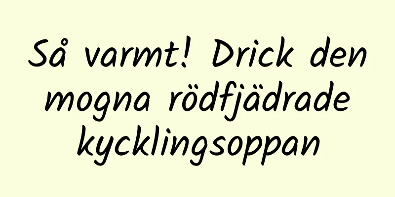 Så varmt! Drick den mogna rödfjädrade kycklingsoppan