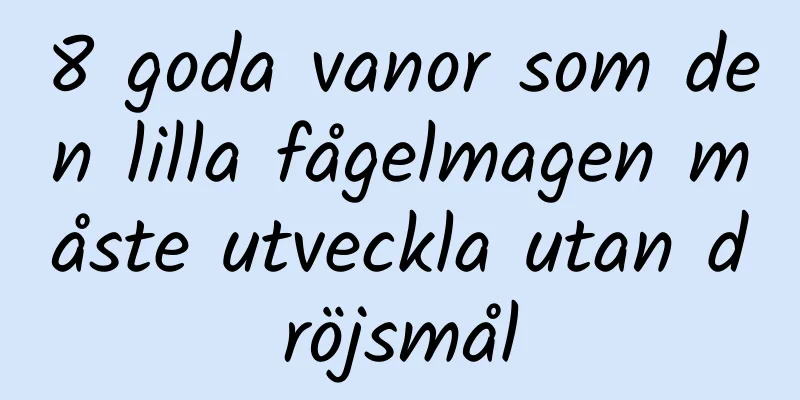 8 goda vanor som den lilla fågelmagen måste utveckla utan dröjsmål