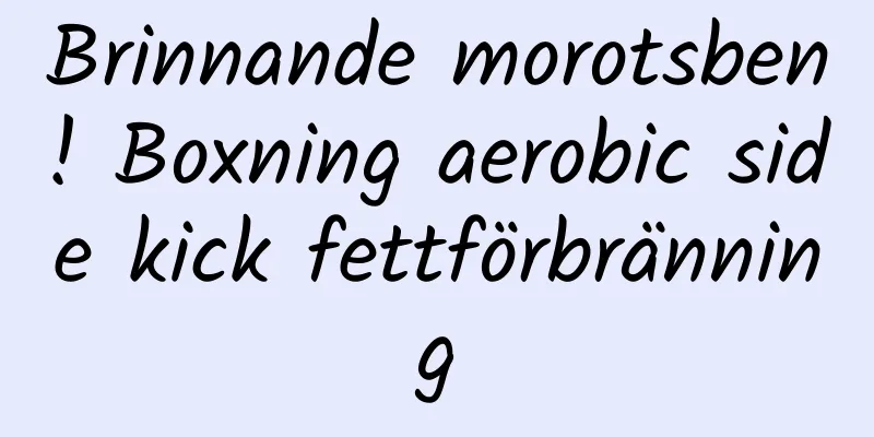 Brinnande morotsben! Boxning aerobic side kick fettförbränning