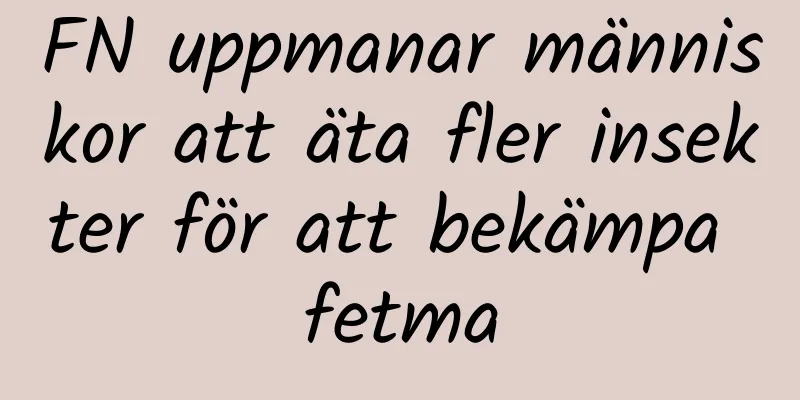 FN uppmanar människor att äta fler insekter för att bekämpa fetma
