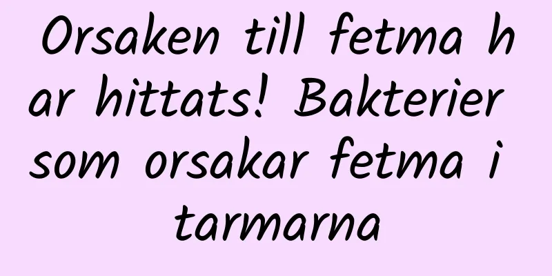 Orsaken till fetma har hittats! Bakterier som orsakar fetma i tarmarna