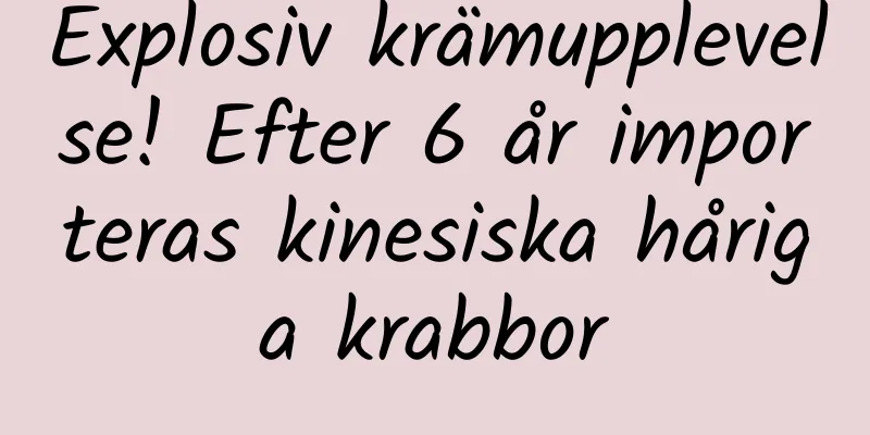 Explosiv krämupplevelse! Efter 6 år importeras kinesiska håriga krabbor