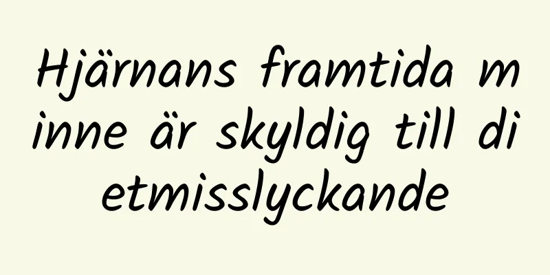 Hjärnans framtida minne är skyldig till dietmisslyckande