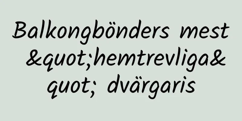 Balkongbönders mest "hemtrevliga" dvärgaris