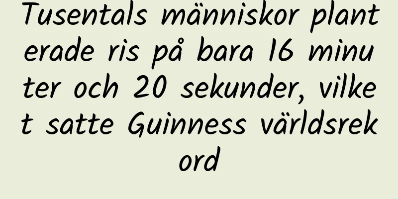 Tusentals människor planterade ris på bara 16 minuter och 20 sekunder, vilket satte Guinness världsrekord