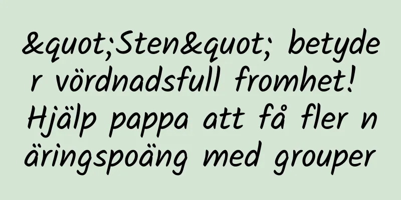 "Sten" betyder vördnadsfull fromhet! Hjälp pappa att få fler näringspoäng med grouper