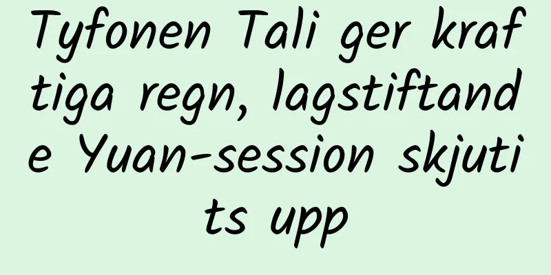 Tyfonen Tali ger kraftiga regn, lagstiftande Yuan-session skjutits upp