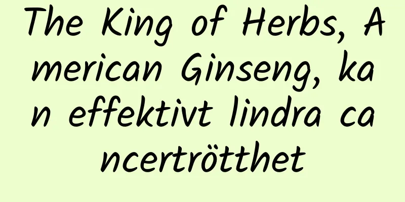 The King of Herbs, American Ginseng, kan effektivt lindra cancertrötthet