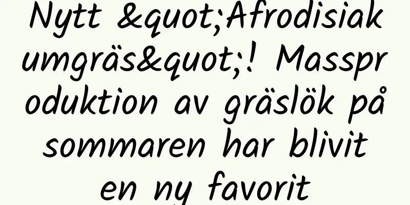 Nytt "Afrodisiakumgräs"! Massproduktion av gräslök på sommaren har blivit en ny favorit