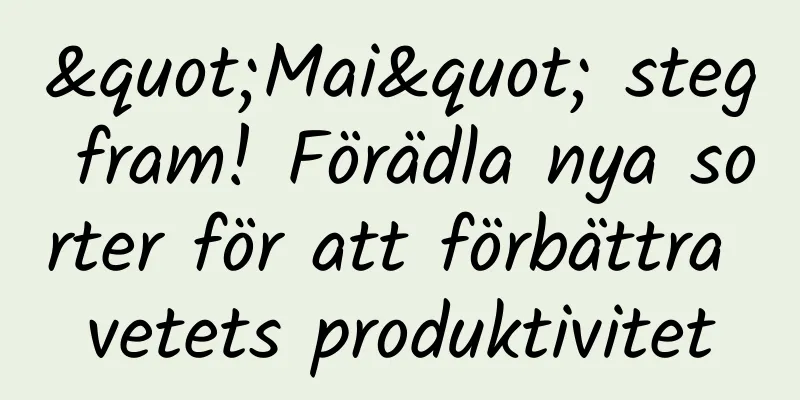 "Mai" steg fram! Förädla nya sorter för att förbättra vetets produktivitet