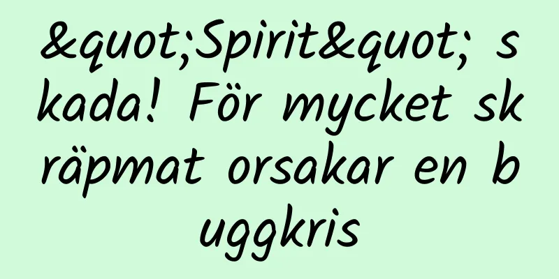"Spirit" skada! För mycket skräpmat orsakar en buggkris