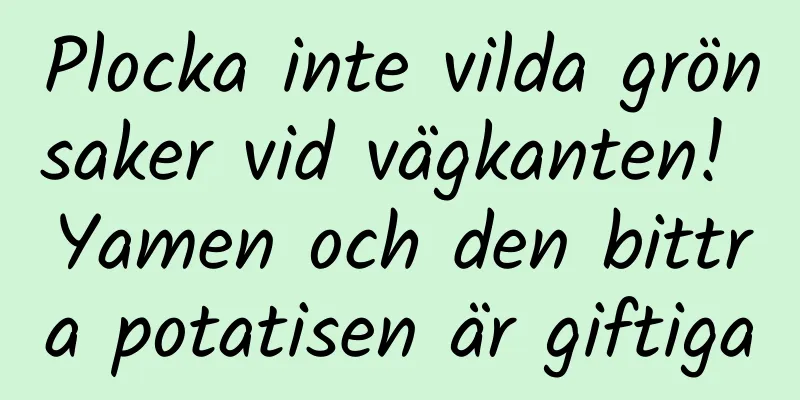 Plocka inte vilda grönsaker vid vägkanten! Yamen och den bittra potatisen är giftiga