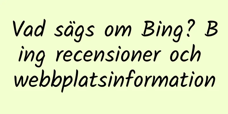 Vad sägs om Bing? Bing recensioner och webbplatsinformation