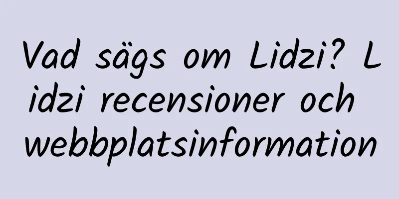 Vad sägs om Lidzi? Lidzi recensioner och webbplatsinformation