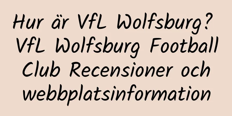 Hur är VfL Wolfsburg? VfL Wolfsburg Football Club Recensioner och webbplatsinformation