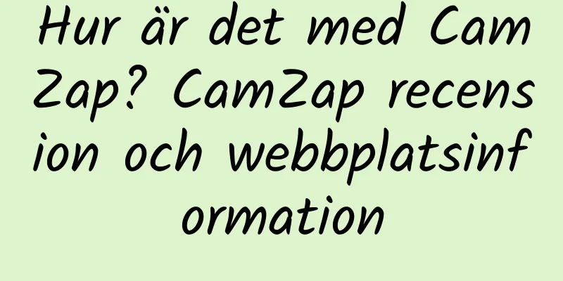 Hur är det med CamZap? CamZap recension och webbplatsinformation