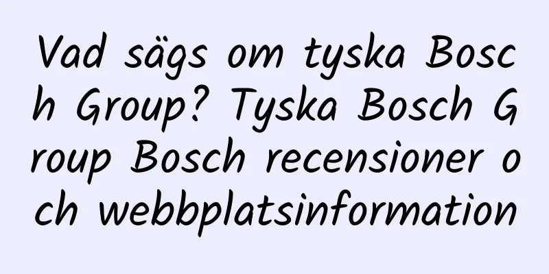 Vad sägs om tyska Bosch Group? Tyska Bosch Group Bosch recensioner och webbplatsinformation
