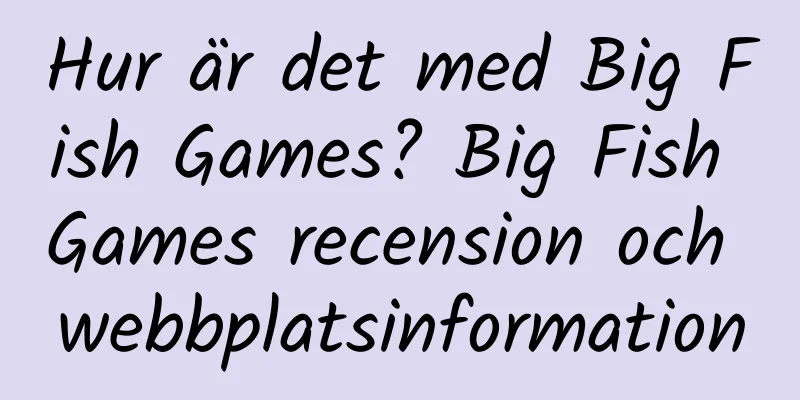 Hur är det med Big Fish Games? Big Fish Games recension och webbplatsinformation