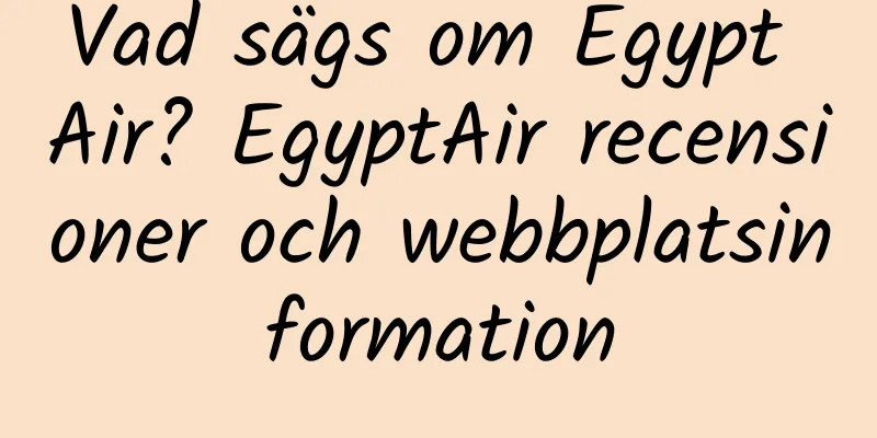 Vad sägs om Egypt Air? EgyptAir recensioner och webbplatsinformation