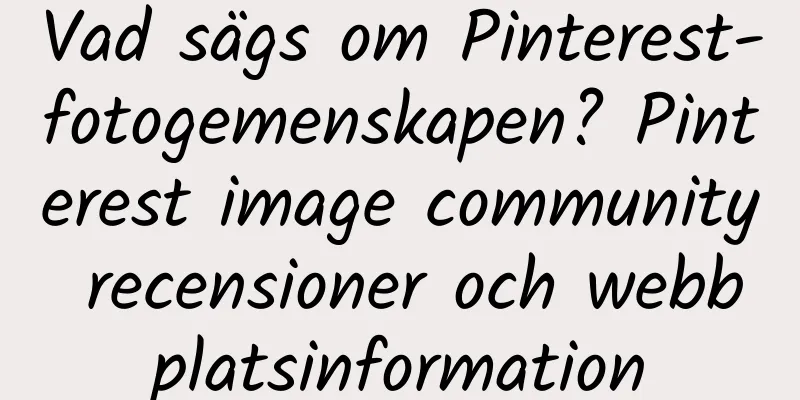 Vad sägs om Pinterest-fotogemenskapen? Pinterest image community recensioner och webbplatsinformation