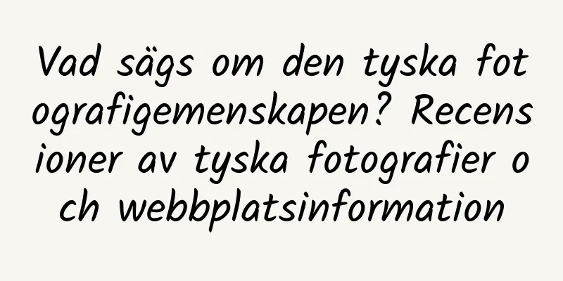 Vad sägs om den tyska fotografigemenskapen? Recensioner av tyska fotografier och webbplatsinformation