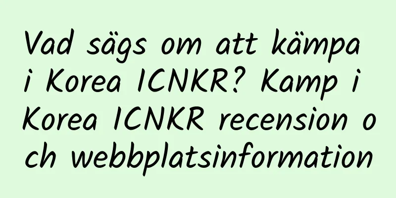 Vad sägs om att kämpa i Korea ICNKR? Kamp i Korea ICNKR recension och webbplatsinformation