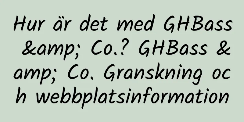 Hur är det med GHBass & Co.? GHBass & Co. Granskning och webbplatsinformation