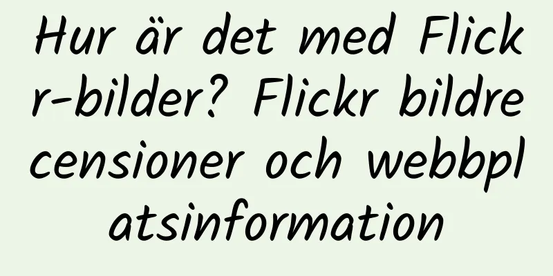 Hur är det med Flickr-bilder? Flickr bildrecensioner och webbplatsinformation