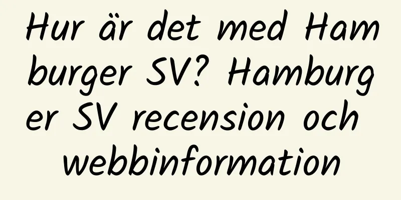 Hur är det med Hamburger SV? Hamburger SV recension och webbinformation