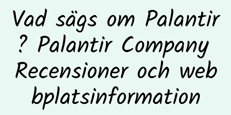 Vad sägs om Palantir? Palantir Company Recensioner och webbplatsinformation