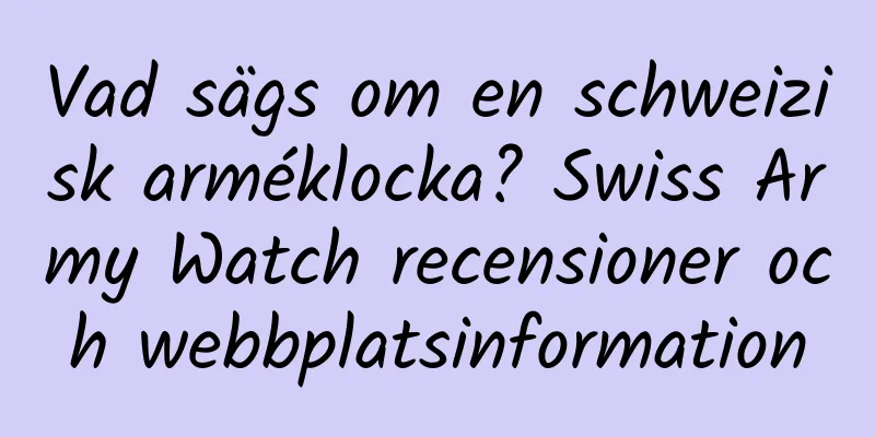 Vad sägs om en schweizisk arméklocka? Swiss Army Watch recensioner och webbplatsinformation