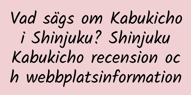 Vad sägs om Kabukicho i Shinjuku? Shinjuku Kabukicho recension och webbplatsinformation