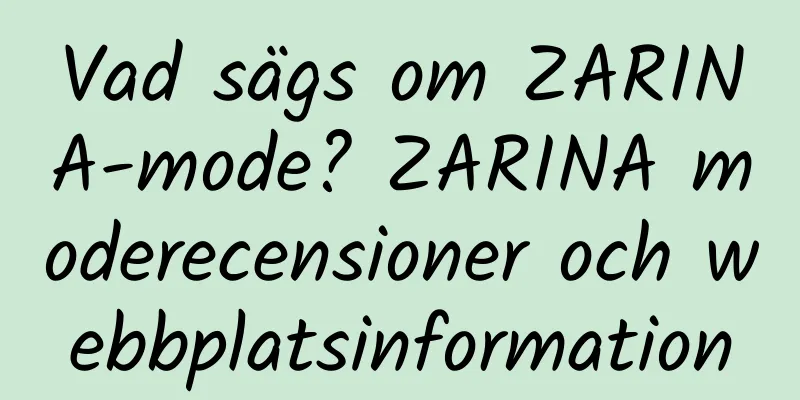 Vad sägs om ZARINA-mode? ZARINA moderecensioner och webbplatsinformation
