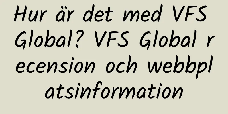 Hur är det med VFS Global? VFS Global recension och webbplatsinformation