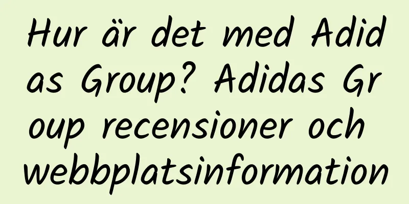 Hur är det med Adidas Group? Adidas Group recensioner och webbplatsinformation